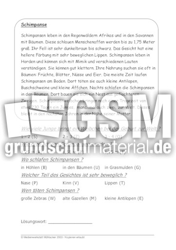 Schimpanse.pdf